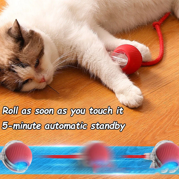 PlayMate Smart Rolling Cat Ball
